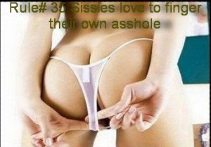 rule4sissy35-peppercom.pw