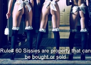 rule4sissy60-peppercom.pw